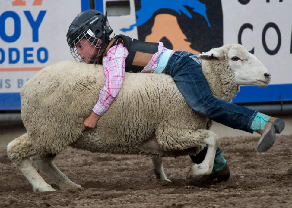 Rick Egan  |  The Salt Lake Tribune

Laney Shultz, Hooper, Ut, 8, rides a sheep, in the mutton busters competition, at the Days of '47 Rodeo, Monday, July 24, 2017.