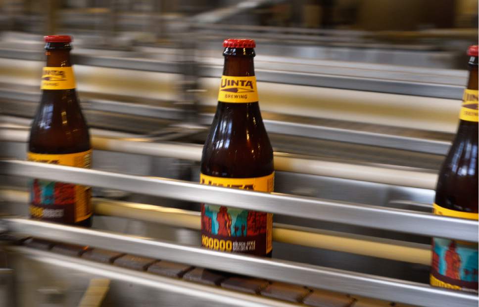 Scott Sommerdorf   |  The Salt Lake Tribune  
Bottles of HooDoo Golden Ale travel down Uinta Brewing Co.'s packaging line, on Thursday, July 20, 2017. It's one of several beers -- 3.2 percent alcohol by weight -- produced for the Utah market..