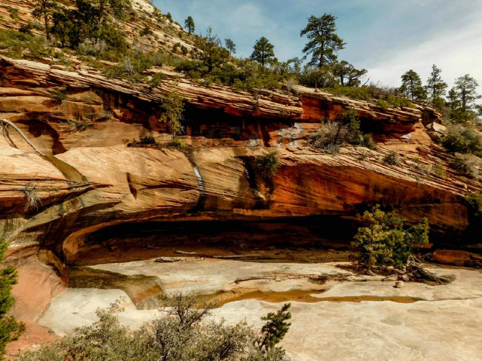 Erin Alberty | The Salt Lake Tribune
Many Pools is a beautiful, family-friendly hike with little traffic and great educational value in Zion National Park.