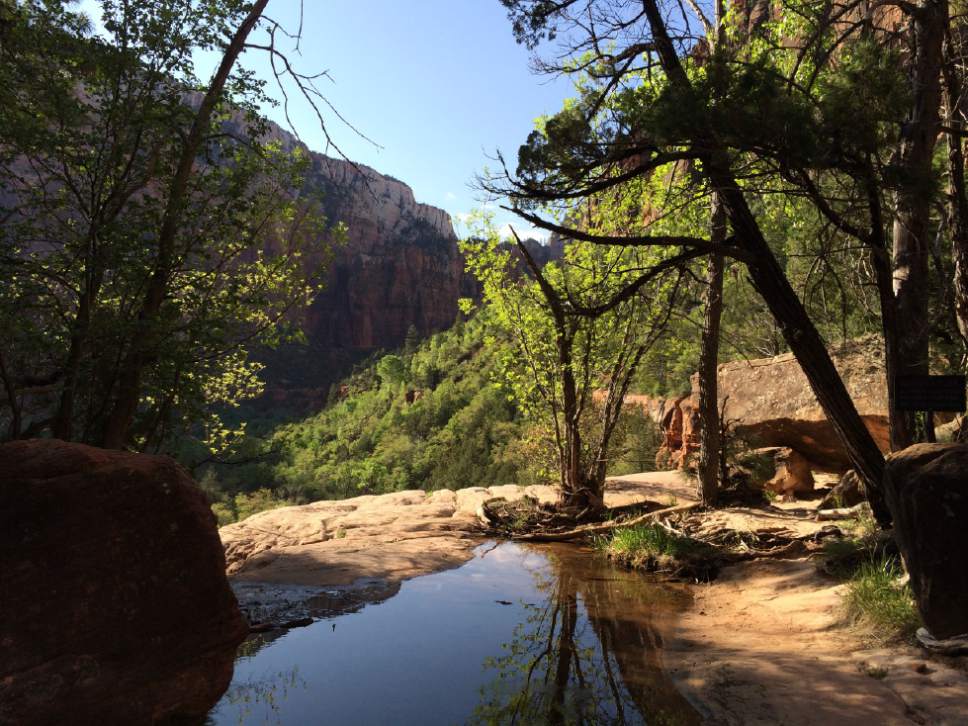 $1M grant to fund repairs on Zion's Middle Emeralds Pool Trail - The ...