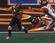 Utah Blaze  Salt Lake City UT