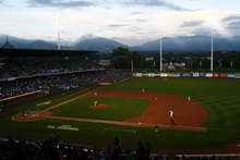 AAA Salt Lake Bees Gnome 