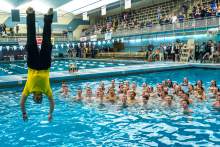 【ri】papier city swimmer City-Swimmer : r/oblivion