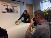 sandy animal shelter